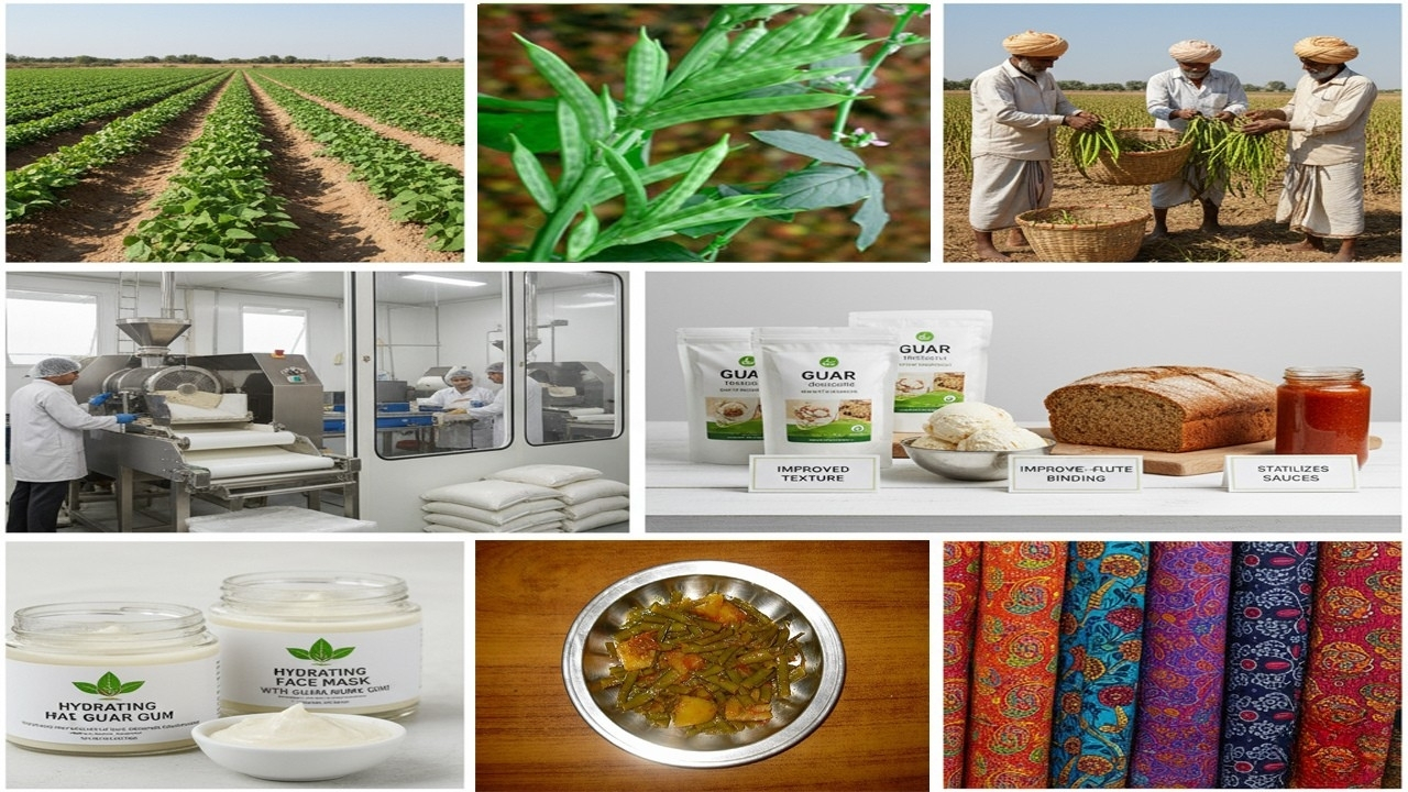 How to Grow Guar Gum and Cluster Beans for Maximum Yield and Profit