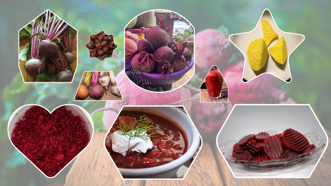 How to Grow Beetroot: Easy Planting, Care, and Harvest Guide for Fresh Homegrown Beets