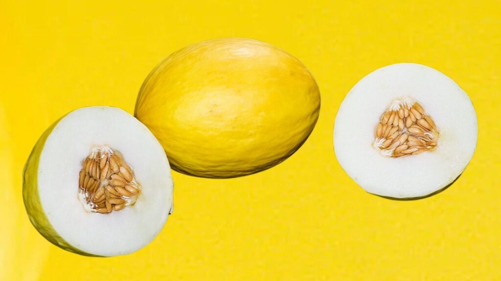How to Grow Canary Melon at Home: Step‑by‑Step Cultivation Guide