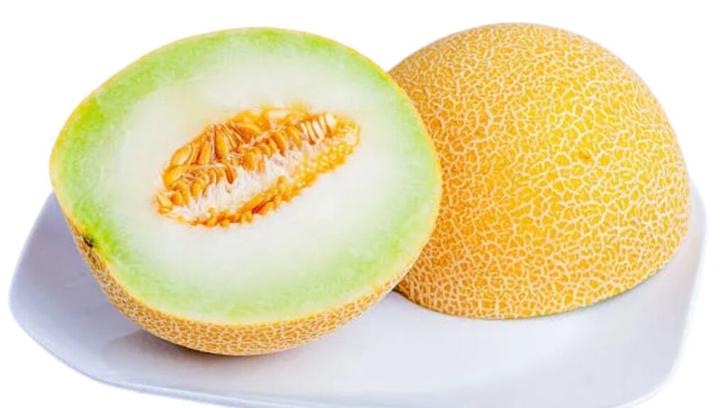 How to Grow Galia Melons at Home: Best Soil, Planting, Watering, Sunlight, Feeding & Harvesting Tips