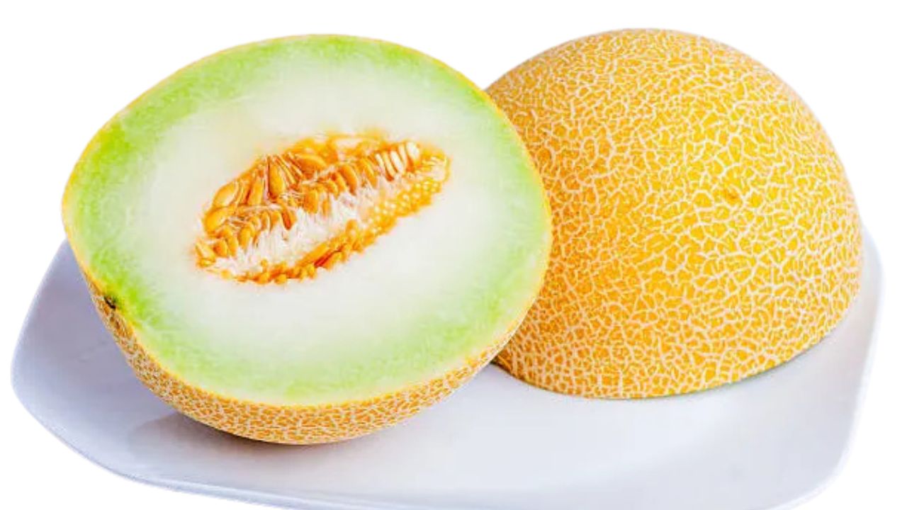 How to Grow Galia Melons at Home: Best Soil, Planting, Watering, Sunlight, Feeding & Harvesting Tips